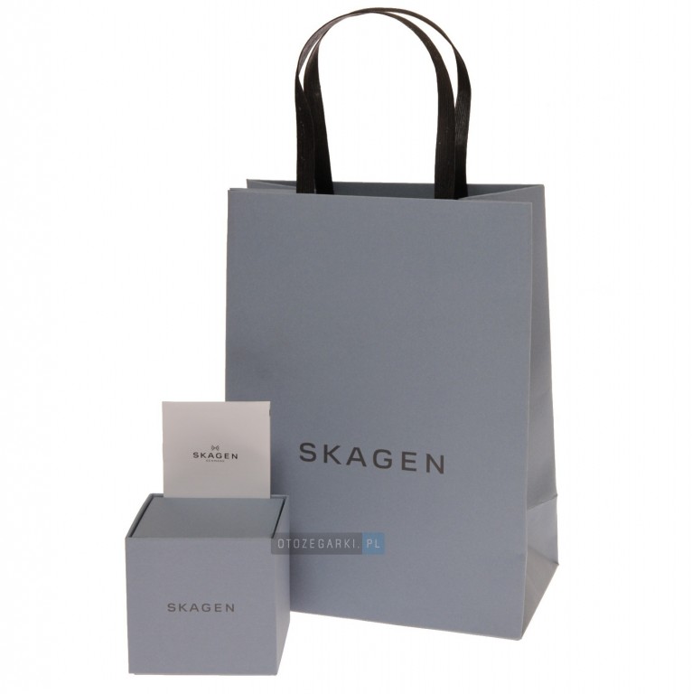 zegarki skagen