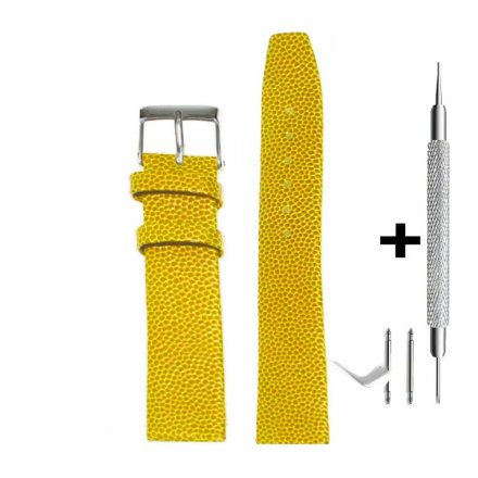 Żółty pasek 16 mm skórzany DILOY P350.16.10 + GRATIS dwa teleskopy i narzędzie