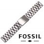 PASEK-FOSSIL-STAL