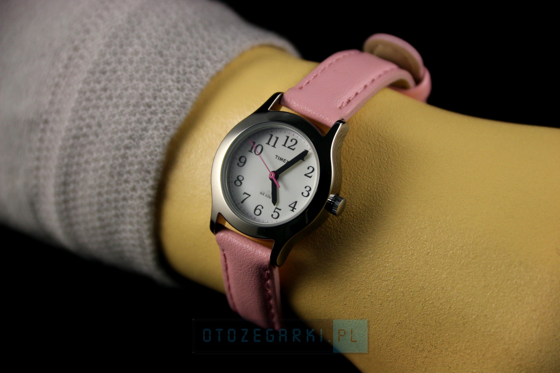 timex t79081