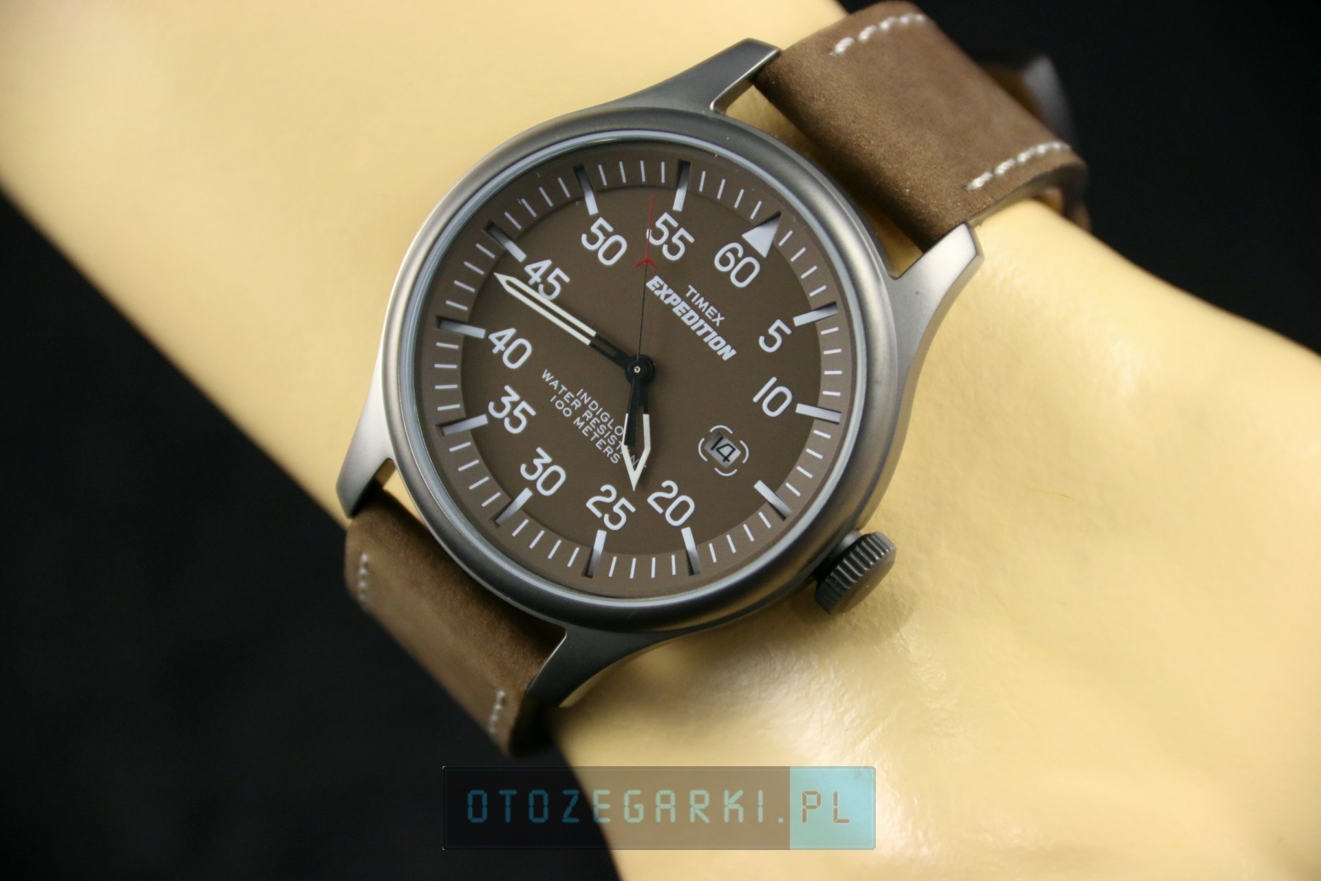 timex t49874