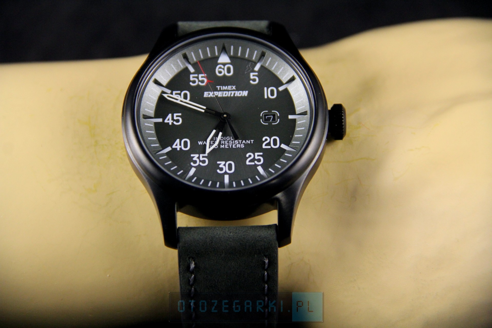 timex t49877