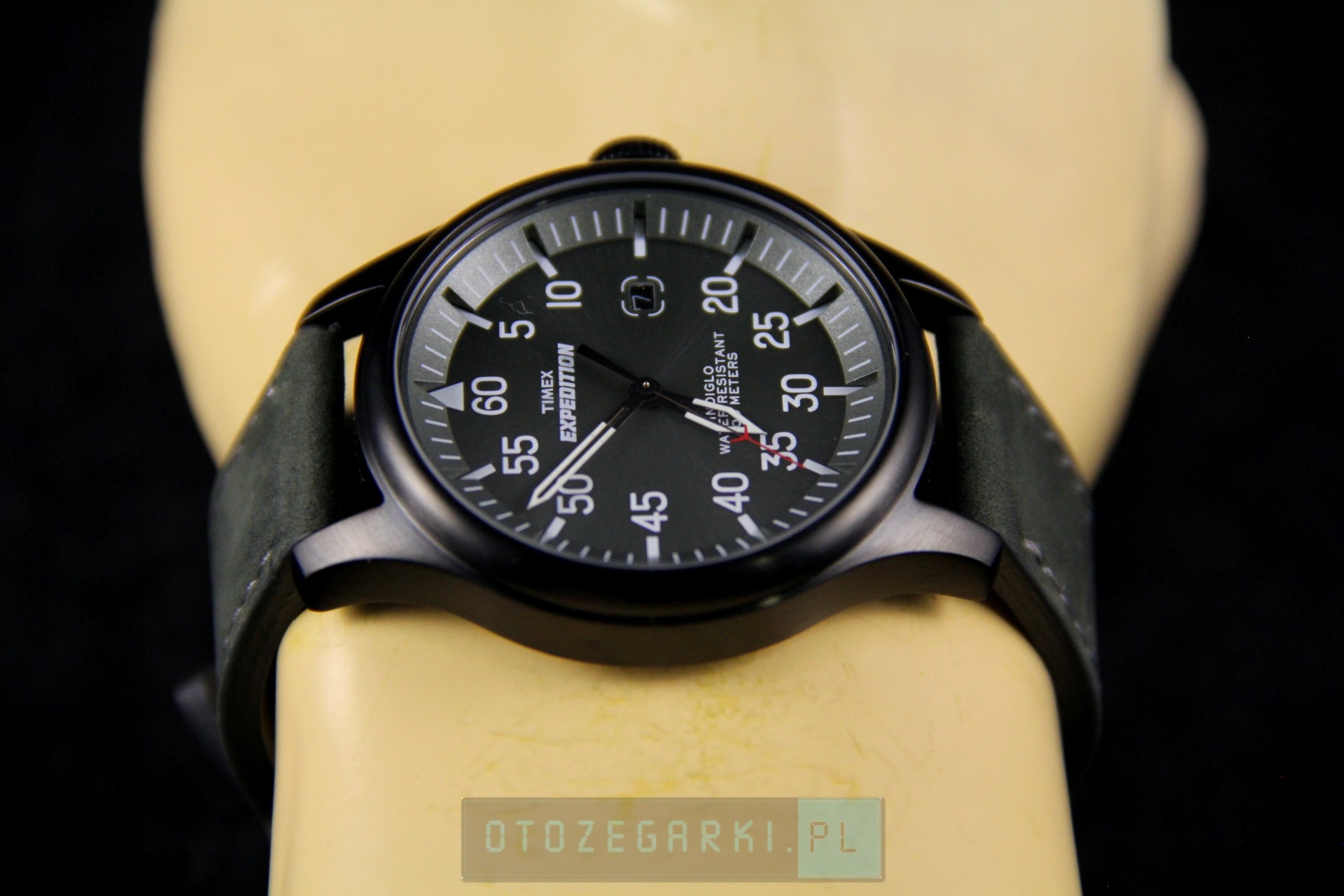 timex t49877