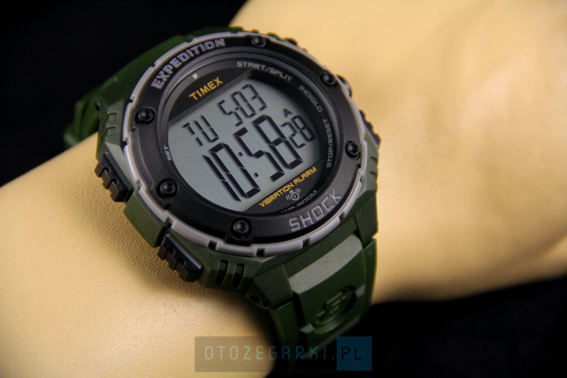 timex t49951