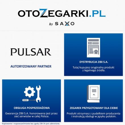 Zegarek Męski Pulsar PZ5031X1