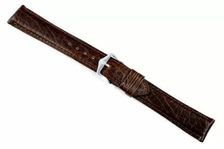 Brązowy pasek skórzany 18 mm HIRSCH Camelgrain 01009210-2-18 (XL)