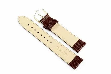 Brązowy pasek skórzany 12 mm HIRSCH Rainbow 12302610-1-12 (M)