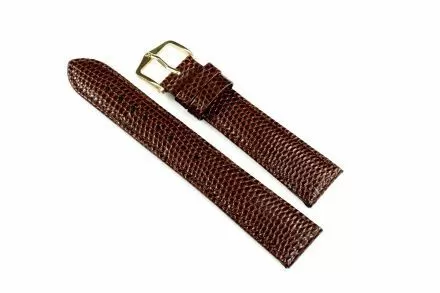 Brązowy pasek skórzany 12 mm HIRSCH Rainbow 12302610-1-12 (M)