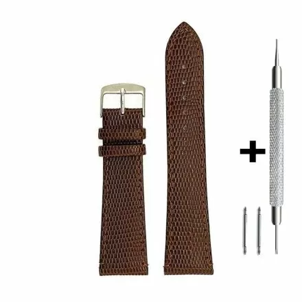 Brązowy pasek 14 mm skórzany DILOY 407.14.02 + GRATIS dwa teleskopy i narzędzie