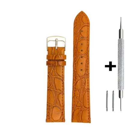 Brązowy pasek 20 mm skórzany DILOY P209.20.09 + GRATIS dwa teleskopy i narzędzie