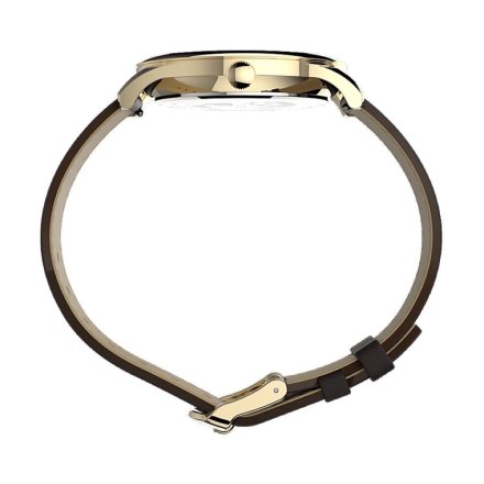 Męski zegarek Timex Easy Reader złoty TW2V28100