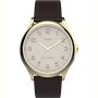 Męski zegarek Timex Easy Reader złoty TW2V28100