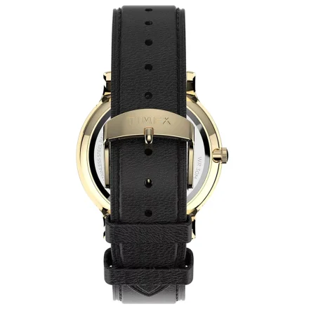 Męski zegarek Timex Norway złoty TW2V28400
