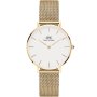 Zegarek Daniel Wellington Petite Evergold 32 złoty z bransoletką DW00100348
