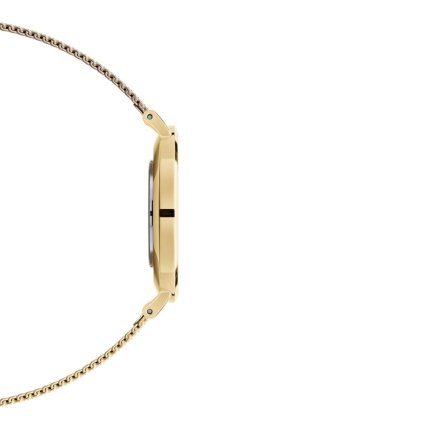 Zegarek Daniel Wellington Petite Evergold 28 złoty z bransoletką DW00100350